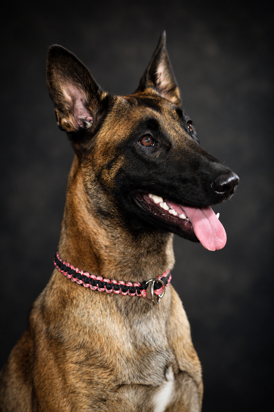 Pink Camo Slip Collar
