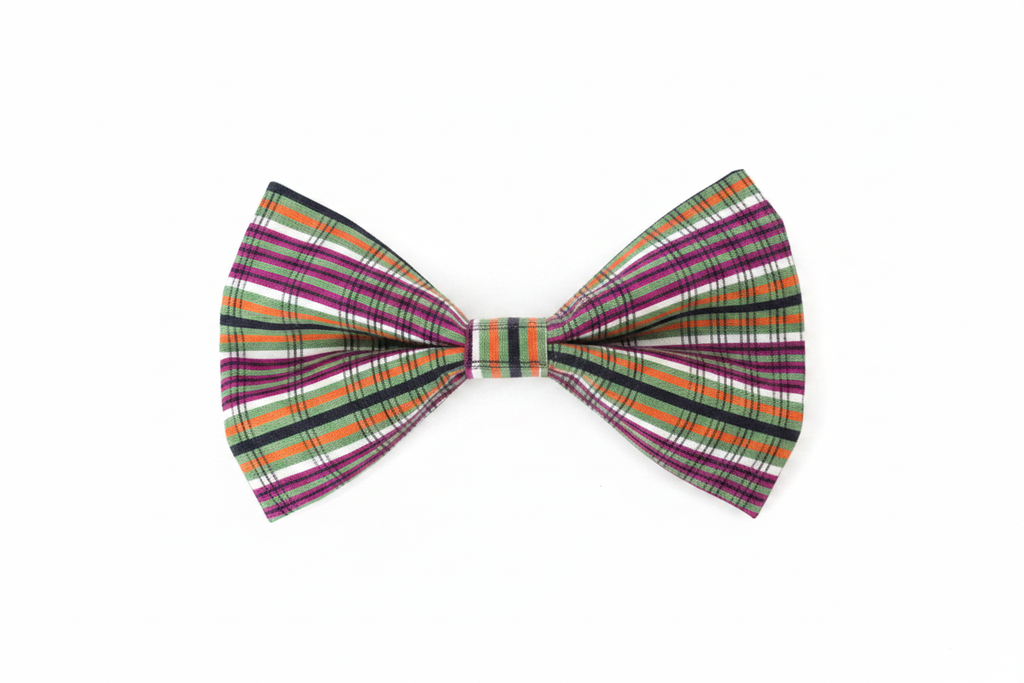 Multicolor Striped Bow