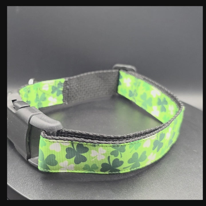 Lucky Clover Dog Collar