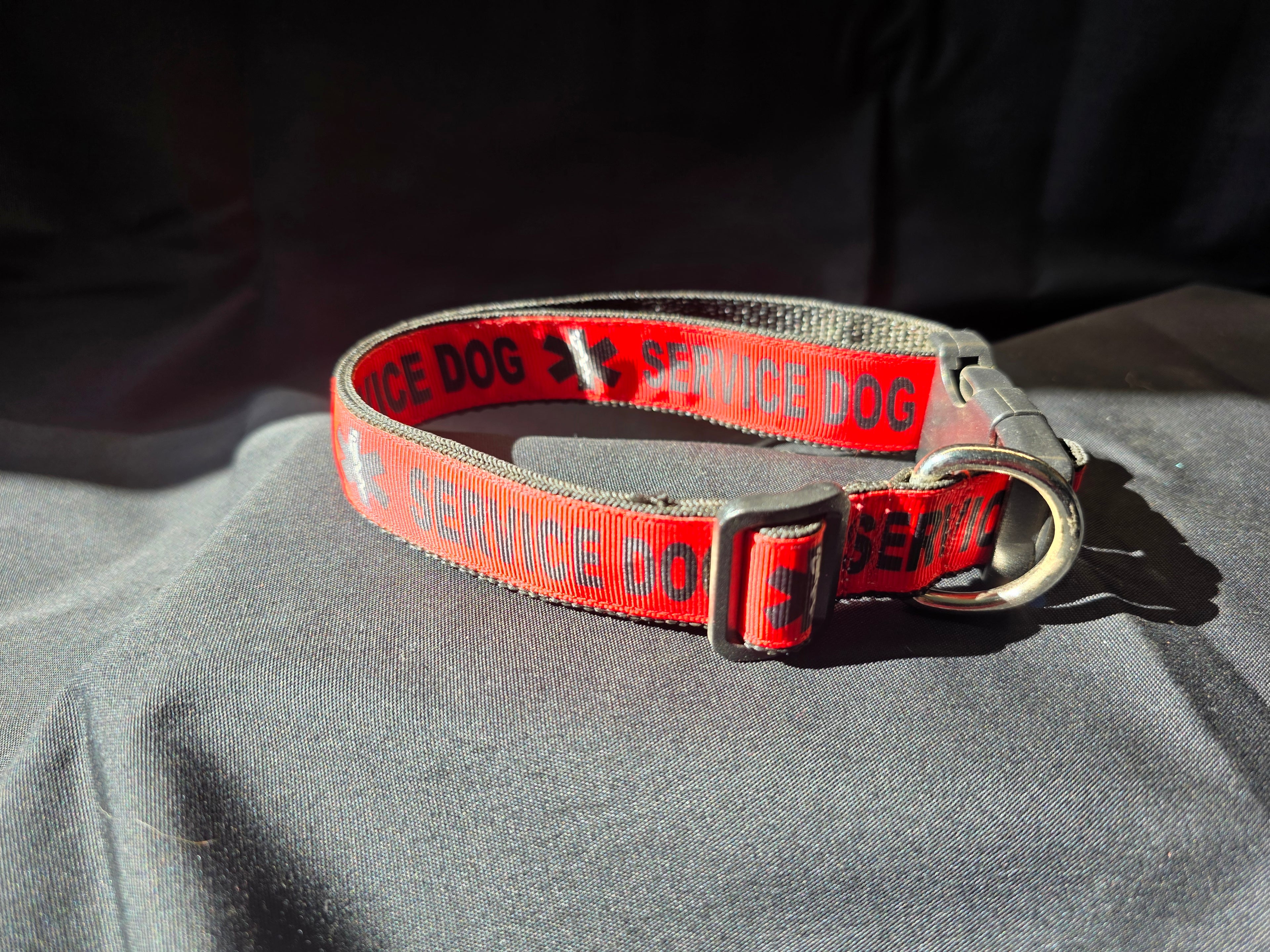 Service Dog Collar